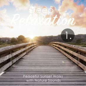 Deep Relaxation: Peaceful Sunset Walks With Nature Sounds album cover