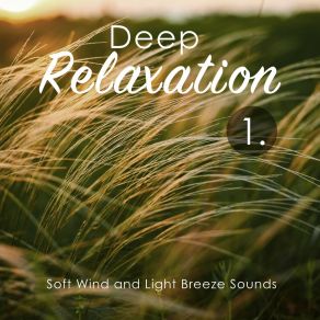 Deep Relaxation: Soft Wind And Light Breeze Sounds album cover
