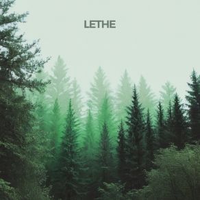 Forest Bathing album cover