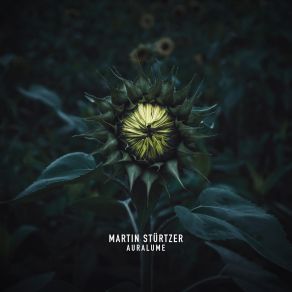 Auralume album cover