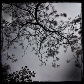 Treasure Of Stars (Streams Of Consciousness) album cover