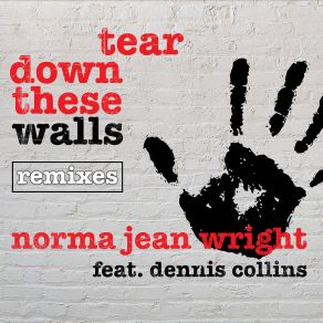 Tear Down These Walls (Remixes) album cover