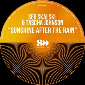 Sunshine After The Rain 2025 Mixes album cover