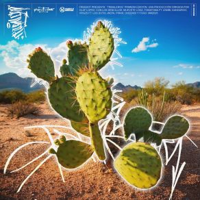 TRIBALEROS album cover