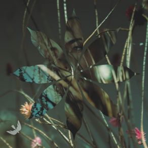 The Garden Of Morning Calm album cover
