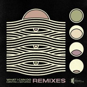 What I Can Do (Remixes) album cover