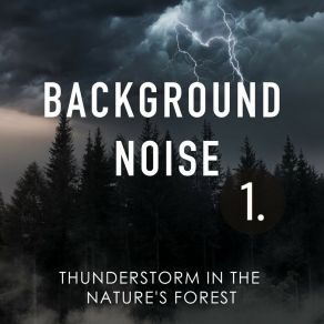 Background Noise: Thunderstorm In The Nature's Forest album cover