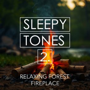Sleepy Tones: Relaxing Forest Fireplace 2 album cover