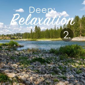 Deep Relaxation: Birdsong With Stream Soundscape 2 album cover