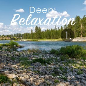 Deep Relaxation: Birdsong With Stream Soundscape album cover