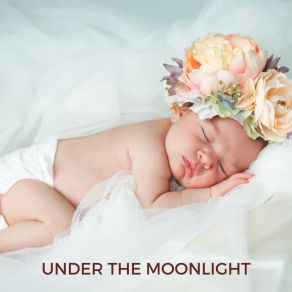 Under The Moonlight album cover