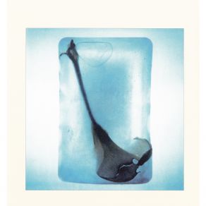 Wadada album cover