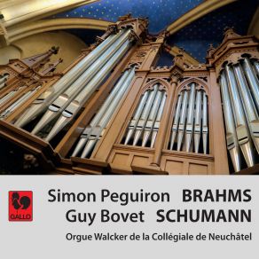 Brahms - Schumann: Works For Organ (CD1) album cover