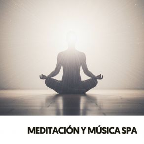 Meditación Y Música Spa: Estás Vivo album cover