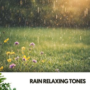 Relaxing Sound Of Rain: From The Sky album cover