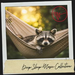 Deep Sleep Music Collection: Serene Slumber Sounds album cover