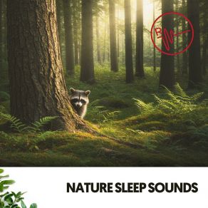 Nature Sleep Sounds: Dreaming With The Whispering Trees album cover