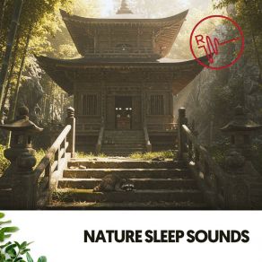 Nature Sleep Sounds: Serene Slumber Symphony album cover