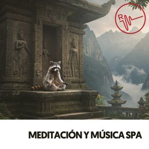 Meditación Y Música Spa: Paraiso De Tierra album cover