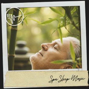 Spa Sleep Music: Zen Lullabies For Restful Nights album cover