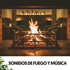 Sonidos De Fuego Y Música: Salta, Corre, Arde album cover