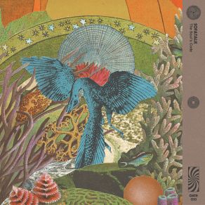 The Soul’s Code album cover