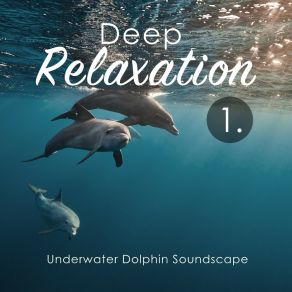 Deep Relaxation: Underwater Dolphin Soundscape album cover
