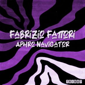 Aphro Navigator album cover