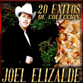 20 Exitos De Coleccion album cover