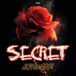 Secret album cover
