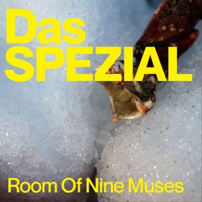 Room Of The Nine Muses album cover