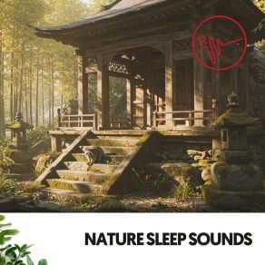 Nature Sleep Sounds: Serene Slumber Symphony album cover