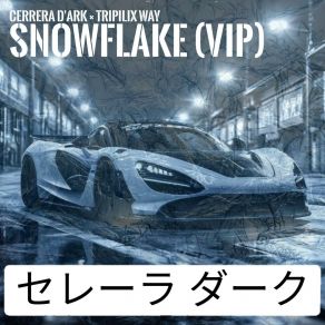 Snowflake (VIP) album cover