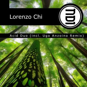 Acid Duo (Incl Ugo Anzoino Remix) album cover
