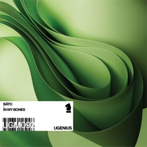 In My Bones album cover