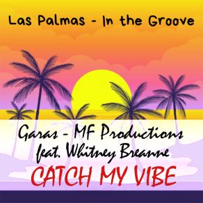 Catch My Vibe album cover
