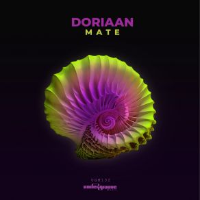 Mate album cover