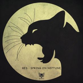 Spring On Neptune (Original Mix) album cover