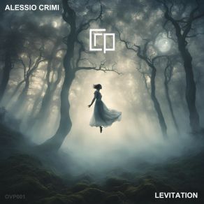 Levitation album cover