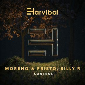 Control album cover