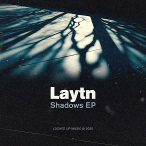 Shadows album cover