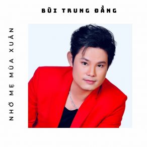Nhớ Mẹ Mùa Xuân (Tân Cổ) album cover