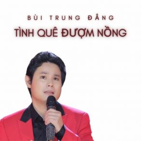 Tình Quê Đượm Nồng (Tân Cổ) album cover