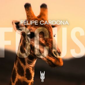 Focus album cover