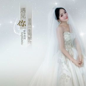 遇见你是我一生的缘分 album cover