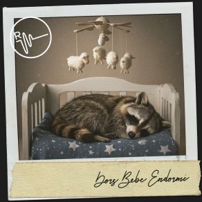 Dors Bébé Endormi: Mélodies Nocturnes Pour Bébé album cover