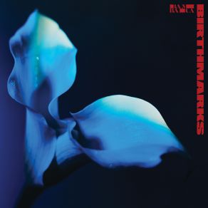 Birthmarks album cover