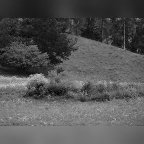 Longing Landscape (Maxi-Single) album cover