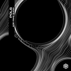 Acid Fake Show album cover