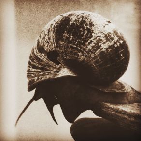 Versions album cover